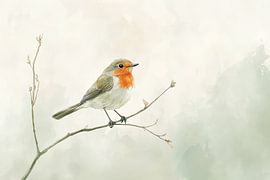 Rouge-gorge sur une branche, illustration à l'aquarelle aux tons doux