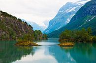 Fjord en Norvège par Floris Kok Aperçu