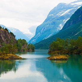 Fjord in Noorwegen van Floris Kok
