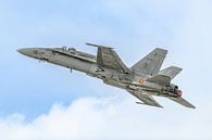 Spaanse EF-18A Hornet Demo Team. van Jaap van den Berg thumbnail