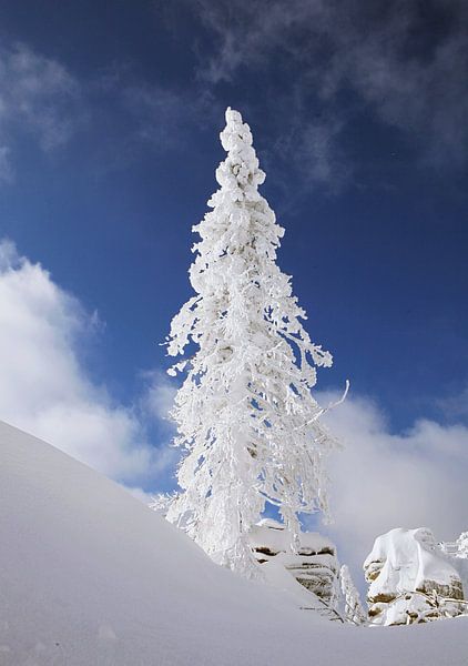 Wintertraum im Böhmerwald ! Tief verschneite Landschaft, Schnee, Winter, Sonne.      von Rudolf Brandstätter