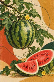 Retro Watermelon Vine & Slices Botanical Print by Dodik Hariyono