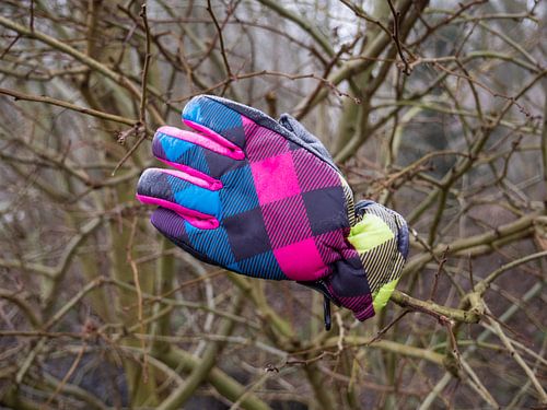 Der nächste Winter kommt bestimmt