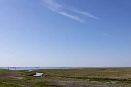 Bilder von der ostfriesischen Nordseeinsel Spiekeroog. von Bianca Meyering Fotos - BMF