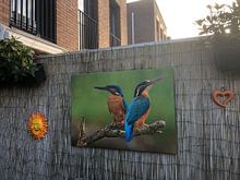 Kundenfoto: Kingfisher (Alcedo atthis), Stefan Benfer von 1x, auf leinwand