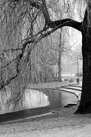Noorderplantsoen in de Winter 13
