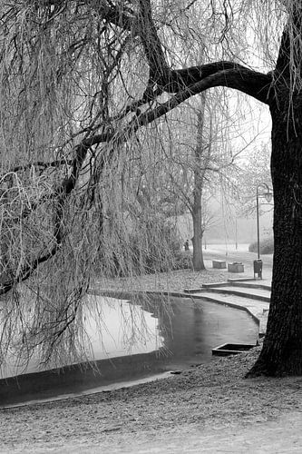 Noorderplantsoen in de Winter 13