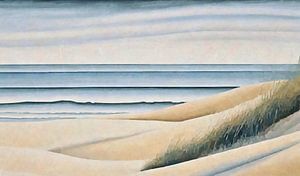 Mer ondulante et dunes sur Anna Marie de Klerk