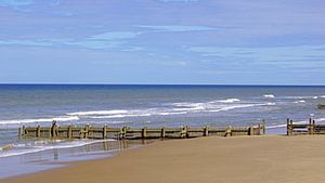 La plage de Walcott