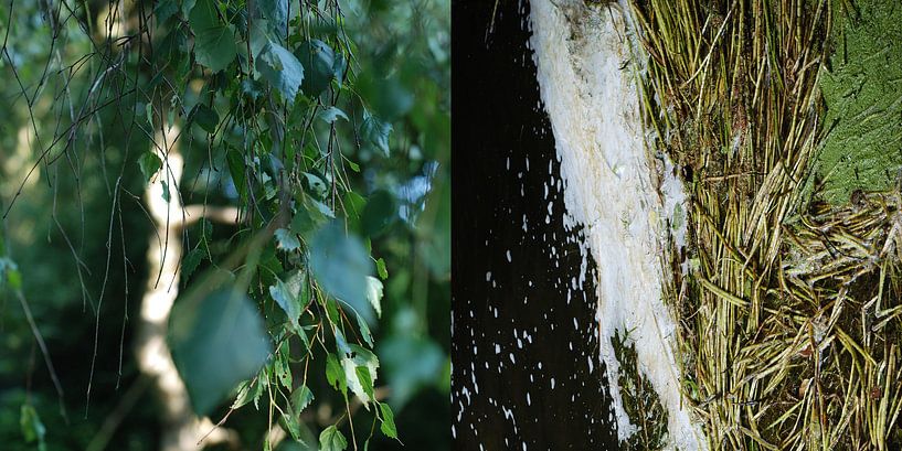 Diptych of water and land: 01 by Anne Hana