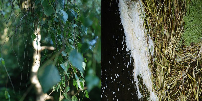 Tweeluik Water en Land: Amsterdam, 03 von Anne Hana