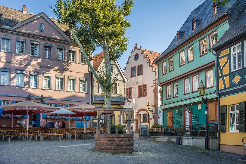 Höchster Schlossplatz, Frankfurt, Hesse by Christian Müringer