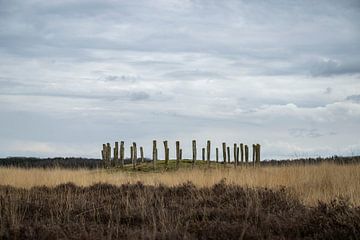 Natuurgebied de Regte Heide van Jeroen van Eijndhoven
