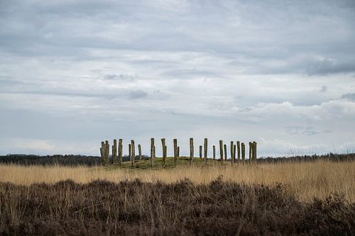 Natuurgebied de Regte Heide