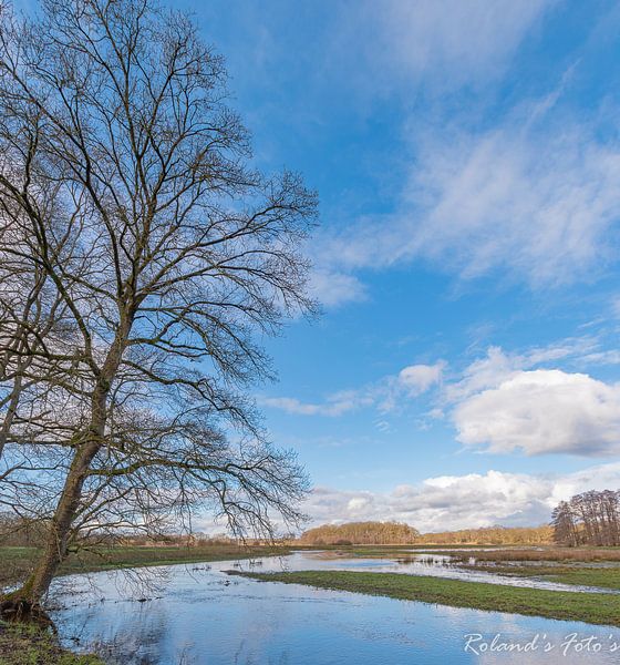 Wird sie fallen..... von Roland's Foto's