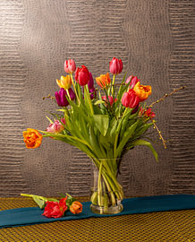 Still-life photography by Bert v.d. Kraats Fotografie