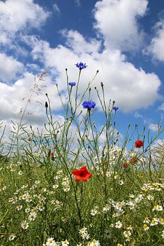 Heure d'été sur Ostsee Bilder