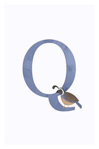 Alphabet Q von Walljar