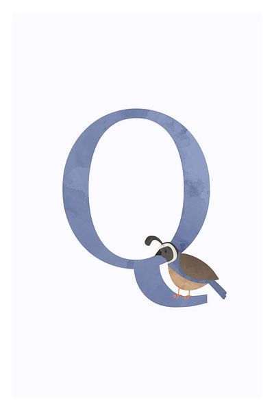 Alphabet Q by Walljar