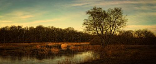 Oudemolense Diep von Eppo Karsijns