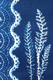 Dentelle bleue sur Evelien van der West