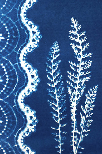 Lace in Blue