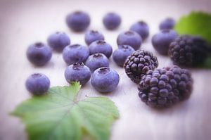 Fresh wild berries on the table