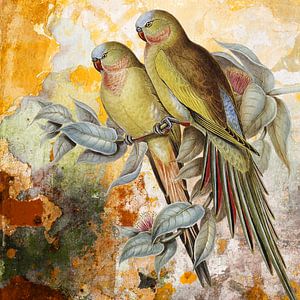 The Two Birds by Marja van den Hurk