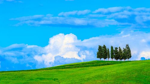 Tuscan hilltop