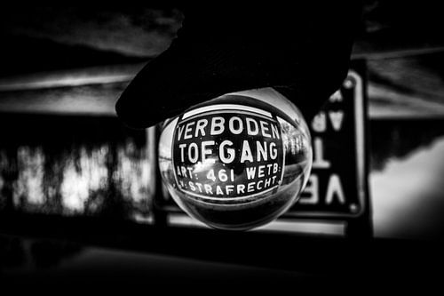 Lensball black white