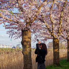 Nynke Altenburg photo de profil