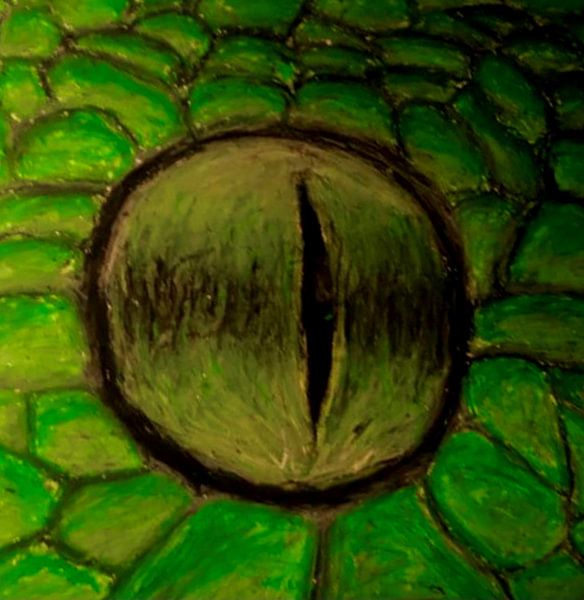 Schlangenauge mit Buntstift gezeichnet von Auke de Kok