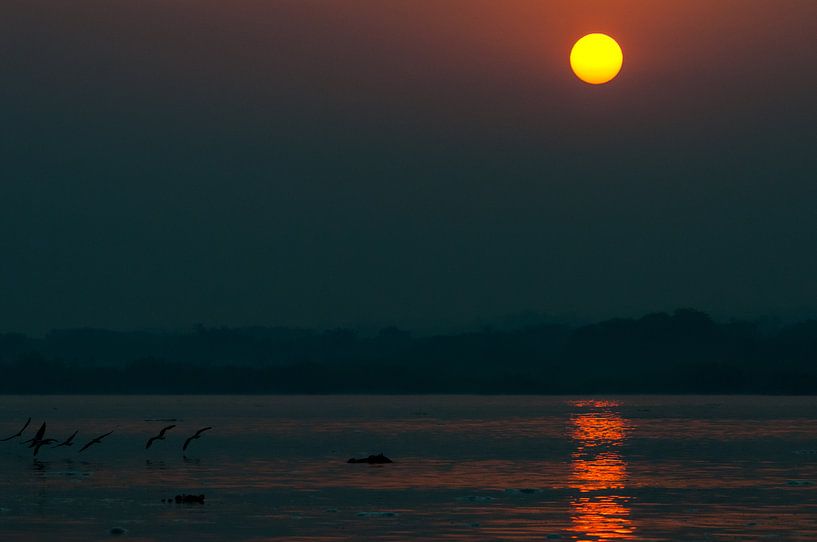 Lever de soleil sur le Nil par Sander Strijdhorst