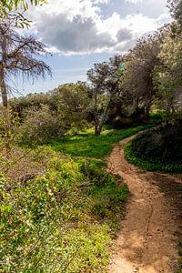 Sur les falaises d'Albufeira, Portugal