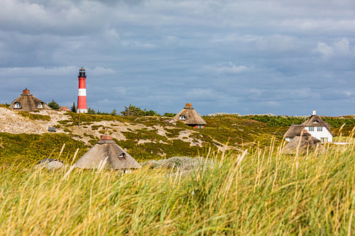 Leuchtturm und Reetdachhäuser in Hörnum auf der Insel Sylt