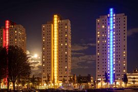 Öl in Wasser von Louis Warnier