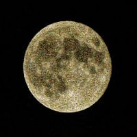 Butterfly moon