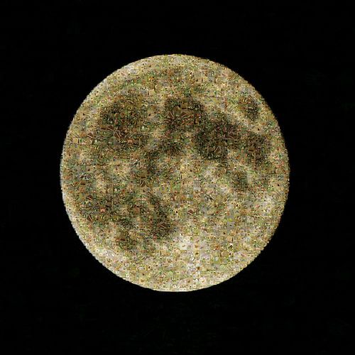 Papillon de la lune