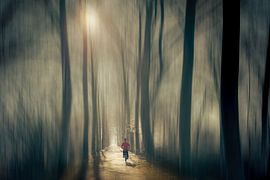 2 Radfahrer im impressionistischen Waldlicht von Di Maio Fotografie