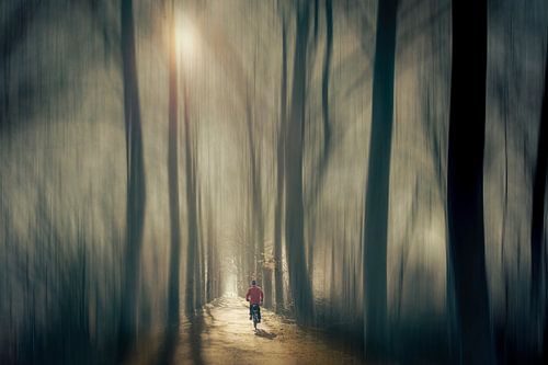 Symfonie van Licht en Tijd (Fietser in het Boslicht)