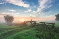 Hollands Polderlandschap tijdens een mistige zonsopkomst van Original Mostert Photography thumbnail