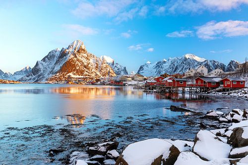 Reine by Tilo Grellmann