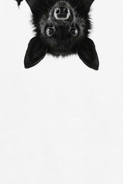 Bat by Poster Art Shop