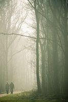 Parkwandeling