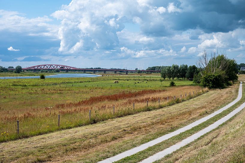 Colorful nature landscape over blue clouds at the flood zone of by Werner Lerooy