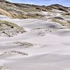 sloping dunes along the sea strip Dutch coast by eric van der eijk