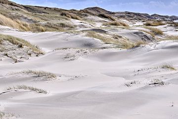 sloping dunes along the sea strip Dutch coast