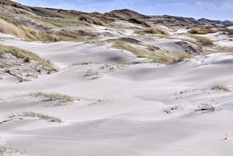 sloping dunes along the sea strip Dutch coast by eric van der eijk