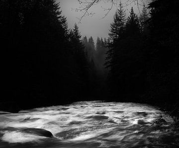 Le parc de Lynn Canyon sur Graham Forrester