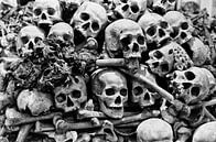 Skull & Bones by Michael Klinkhamer thumbnail